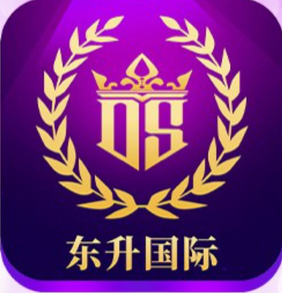 东升国际